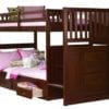 Acadia Bunk Bed